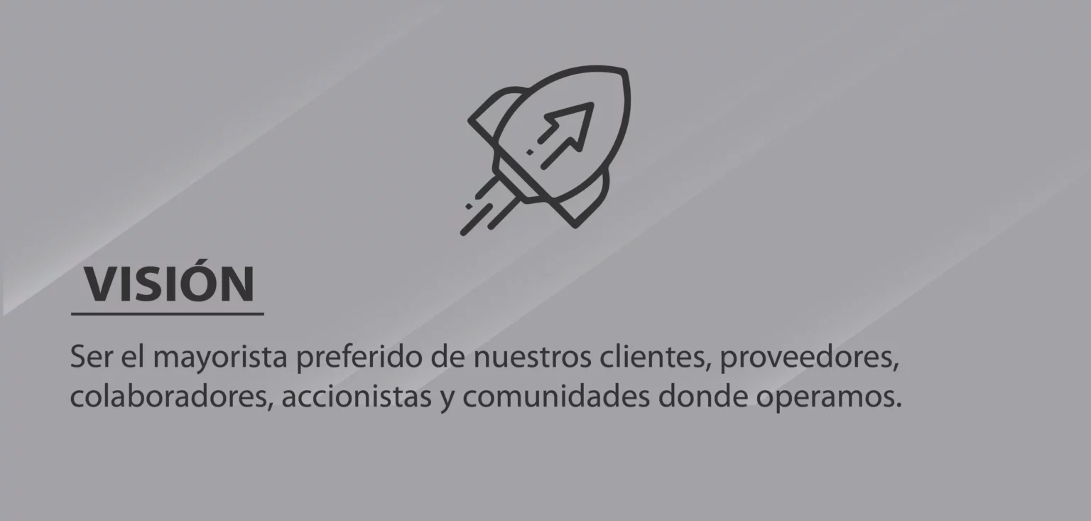 __Vision_Movil